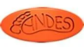 logo andes
